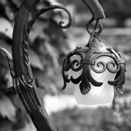 Bed & Breakfast House Klasika - Adults Only